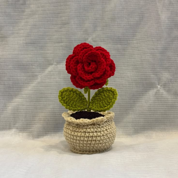 Tulip Bundle