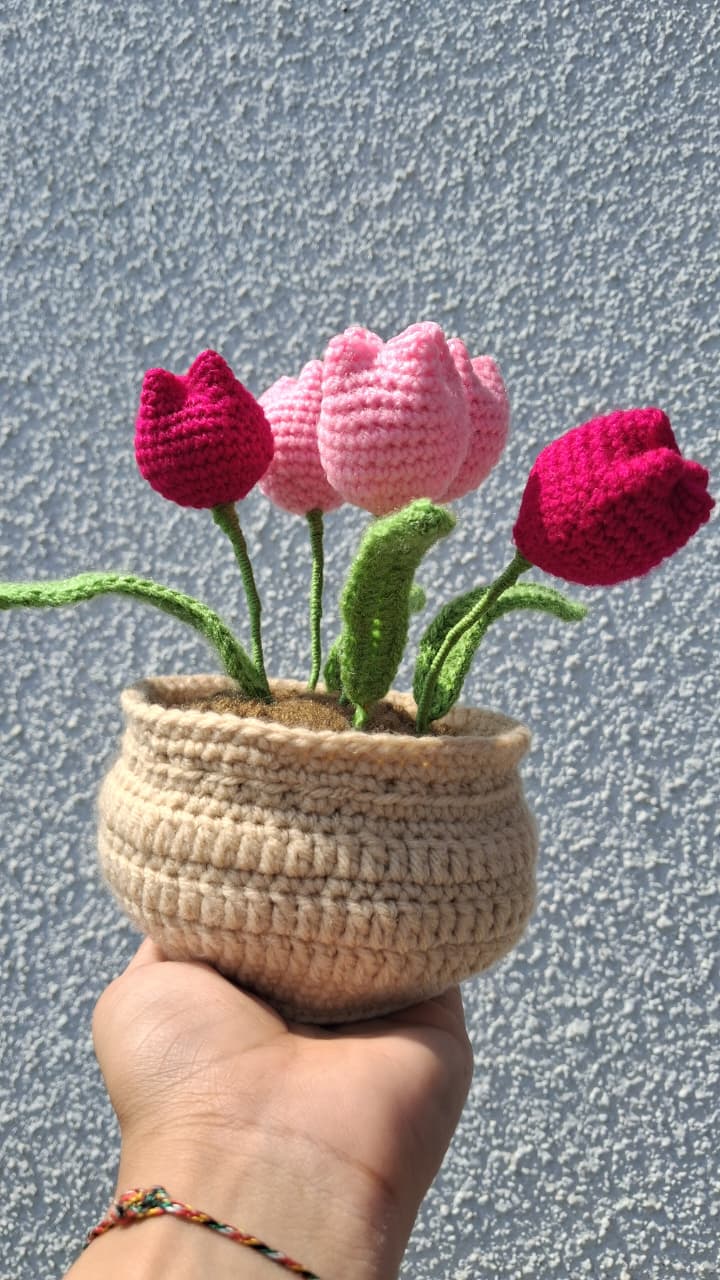 Flower Pots
